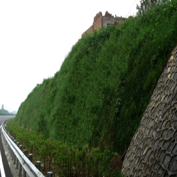 边坡生态修复设计与施工
Design & construction for slope ecological restoration 边坡生态修复设计与施工
Design & construction for slope ecological restoration